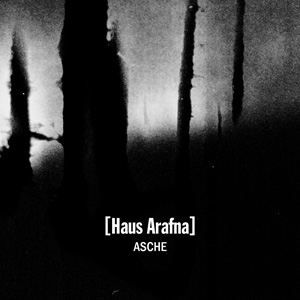 Cover 300x300px
